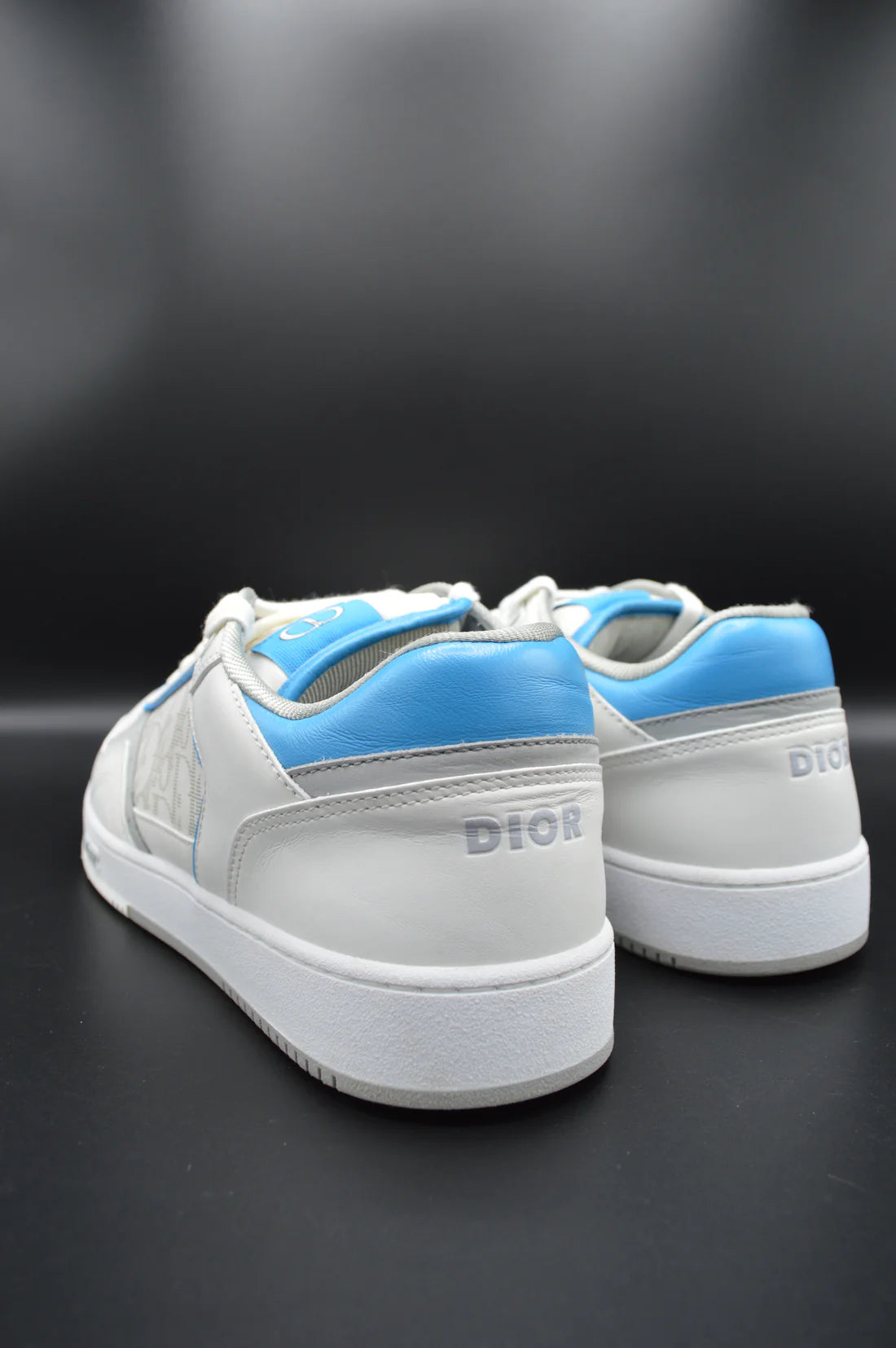 Dior B27 Blanc/bleu