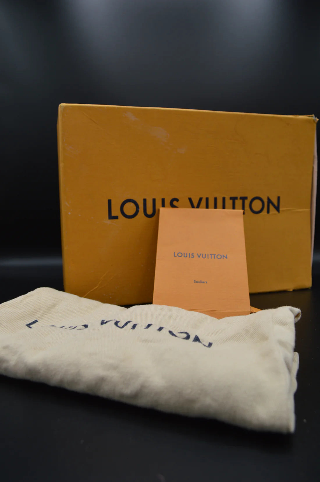 Louis Vuitton Frontrow blanc / monogram marron